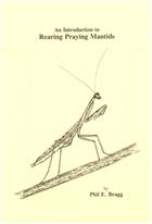 An Introduction to rearing Praying Mantids
