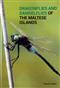 Dragonflies and Damselflies of the Maltese Islands