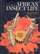 African Insect Life