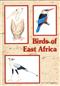 Birds of East Africa. Vol. 1: Non-Passerines