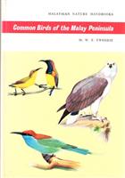 Common Birds of the Malay Peninsula