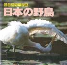 Wild Birds of Japan