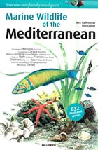 Marine Wildlife of the Mediterranean