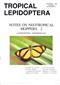 Notes on Neotropical Skippers 2 (Lepidoptera: Hesperiidae) Tropical Lepidoptera 9, Supplement 2