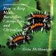 Lepidopteran Zoology: How to Keep Moths, Butterflies, Caterpillars, and Chrysalises