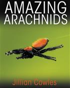 Amazing Arachnids
