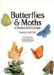 Butterflies & Moths in Great Britain and Europe