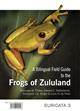 A Bilingual Field Guide to the Frogs of Zululand