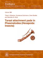 Tarsal attachment pads in Phasmatodea (Hexapoda: Insecta)