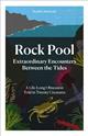 Rock Pool: Extraordinary Encounters Between the Tides