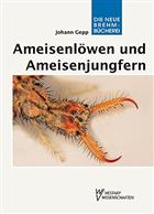 Ameisenloewen und Ameisenjungfern: Myrmeleonidae