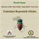 Coleotteri Buprestidi d'Italia (DVD)