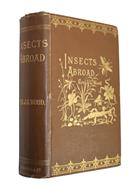 Insects Abroad:  being a popular account of Foreign Insects, their Structure, Habits and Transformations