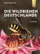 Die Wildbienen Deutschlands