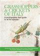 Grasshoppers and crickets of Italy: A photographic field guide to all the species