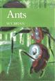 Ants (New Naturalist 59)