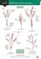 Guide to British Bird Tracks and Signs (Identification Chart)