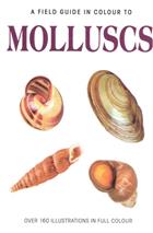 A Field Guide in colour to Molluscs