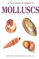 A Field Guide in colour to Molluscs