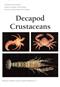 Common and Scientific Names of Aquatic Invertebrates from the United States and Canada: Decapod Crustaceans