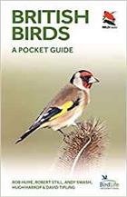 British Birds: A Pocket Guide