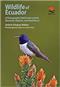 Wildlife of Ecuador: A Photographic Field Guide to Birds, Mammals, Reptiles, and Amphibians