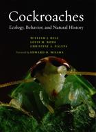 Cockroaches: Ecology, Behavior, and Natural History