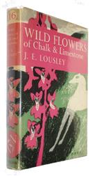 Wild Flowers of Chalk and Limestone (New Naturalist 16)