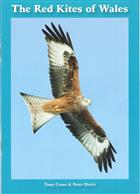 The Red Kites of Wales