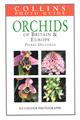 Orchids of Britain & Europe