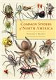 Common Spiders of North America