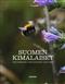 Suomen Kimalaiset [Finnish Bumblebees]