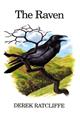 The Raven