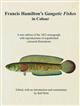 Francis Hamilton's Gangetic Fishes in Colour