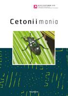 Cetoniimania No. 13