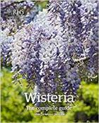 Wisteria: The Complete Guide