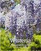 Wisteria: The Complete Guide