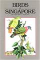 Birds of Singapore