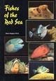 Fishes of the Red Sea