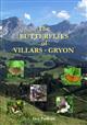 The Butterflies of the Villars-Gryon [Switzerland]