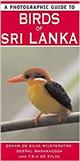 A photographic guide to birds of Sri Lanka
