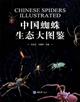 Chinese Spiders Illustrated