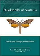 Hawkmoths of Australia: Identification, Biology and Distribution