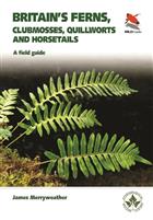 Britain's Ferns: A field guide to the clubmosses, quillworts, horsetails and ferns of Great Britain and Ireland