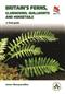 Britain's Ferns: A field guide to the clubmosses, quillworts, horsetails and ferns of Great Britain and Ireland