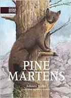 Pine Martens
