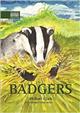 Badgers