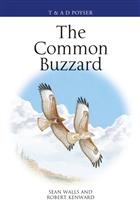 The Common Buzzard