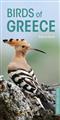 Birds of Greece