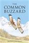 The Common Buzzard